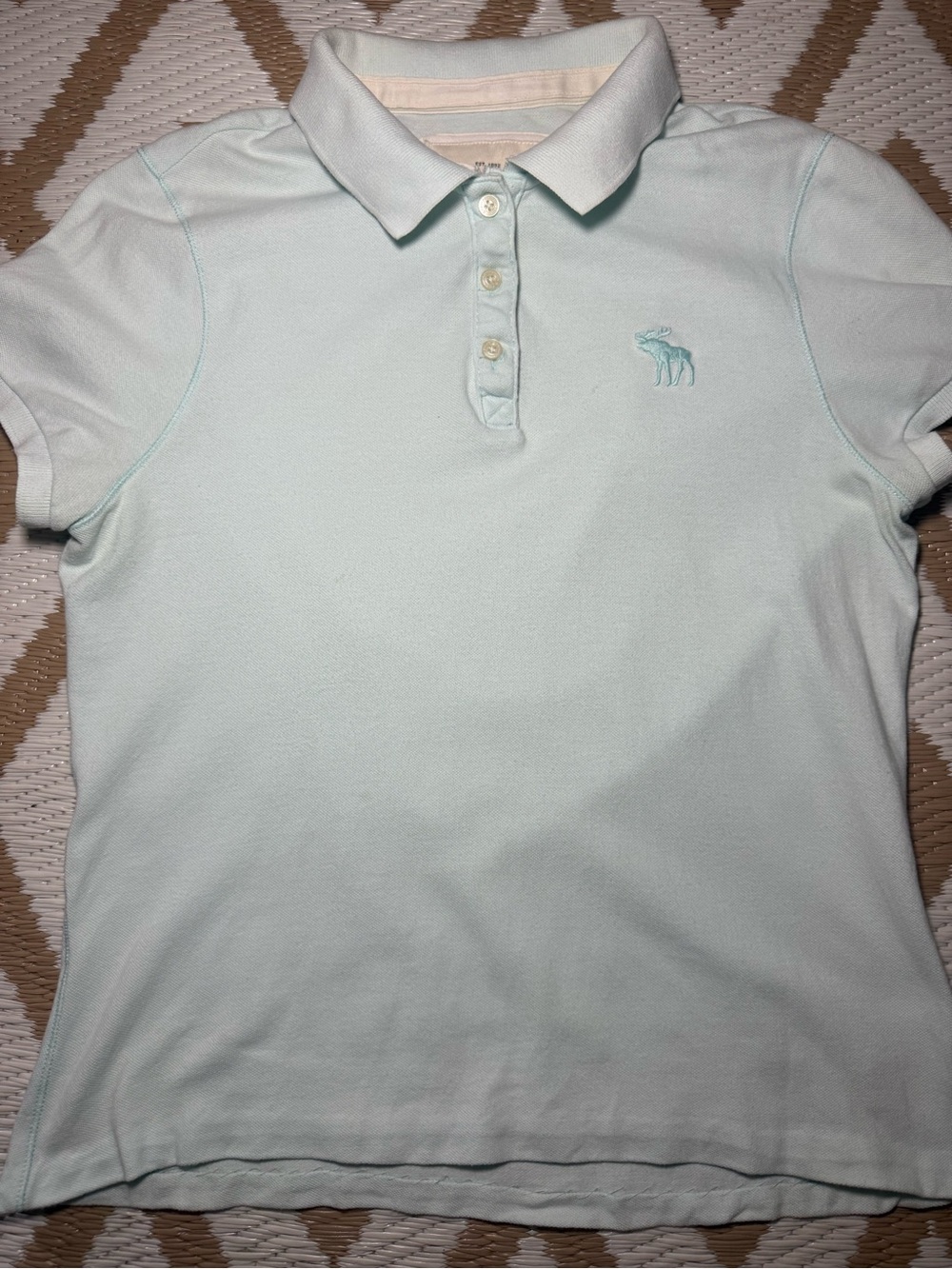 Abercrombie & Fitch Pale Aqua Women's Polo